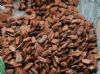 pine bark extract opc 95% uv